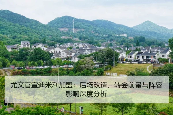 尤文官宣迪米利加盟：后场改造、转会前景与阵容影响深度分析